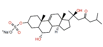 3-O-Sulfothornasterol A